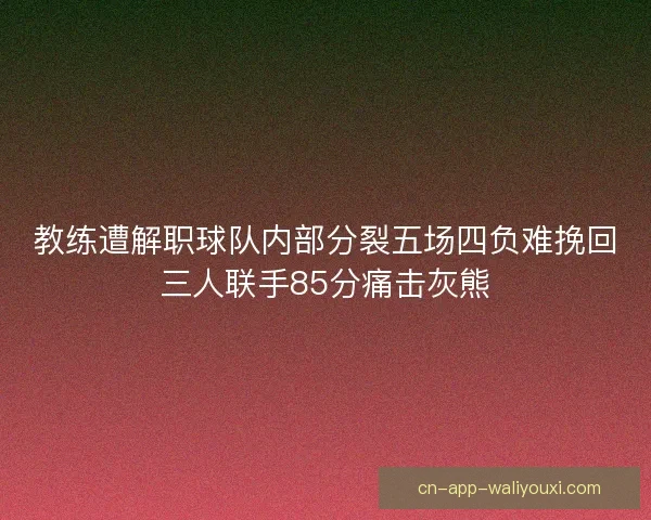 教练遭解职球队内部分裂五场四负难挽回三人联手85分痛击灰熊